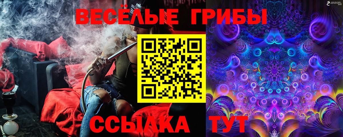 Галлюциногенные грибы Psilocybe  Вход с VPN  Петрозаводск  Галлюциногенные грибы MAGIC MUSHROOMS 