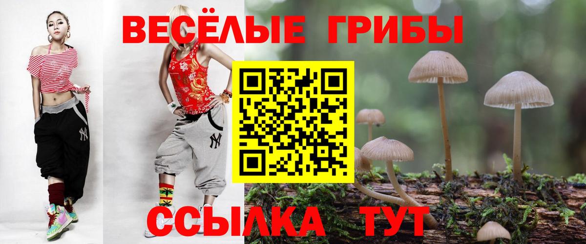 Псилоцибиновые грибы мицелий Петрозаводск