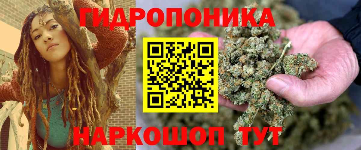 Петрозаводск  Бошки марихуана сатива  МАРИХУАНА Ganja  Вход с VPN  МАРИХУАНА марихуана  Конопля VHQ 